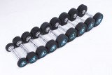 Гантели в уретане LIVEPRO Studio Dumbbells 10 кг, черный/синий