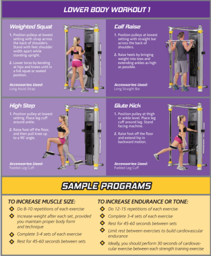 Функциональный комплекс Hoist Mi6 двойная регулируемая тяга